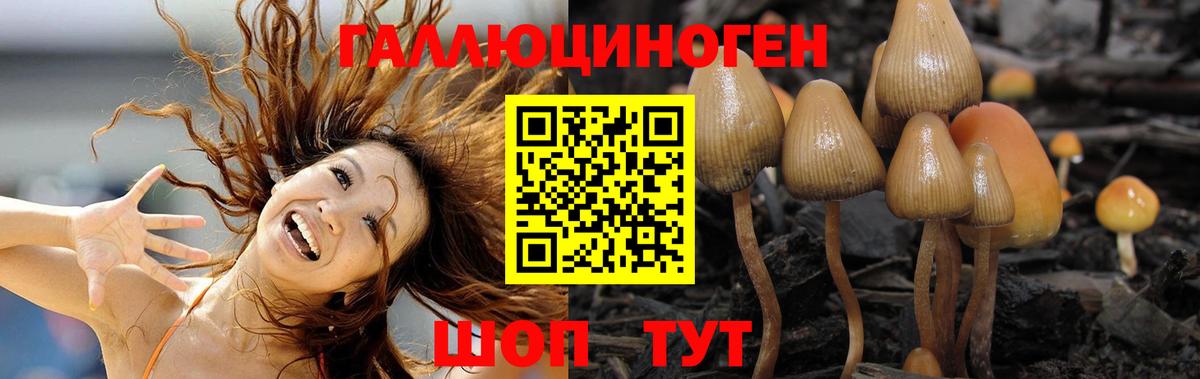 Галлюциногенные грибы Magic Shrooms  Вход с VPN  Биробиджан 